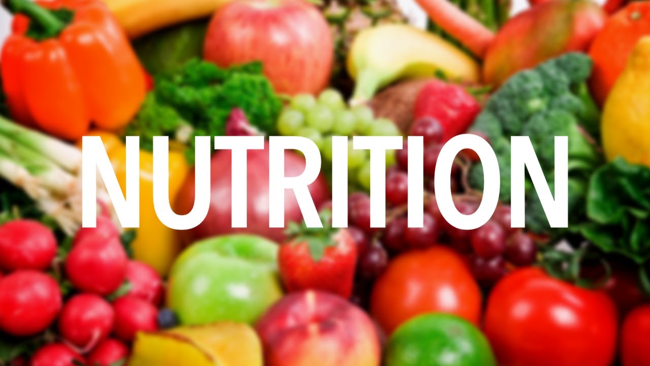 Nutrition Services