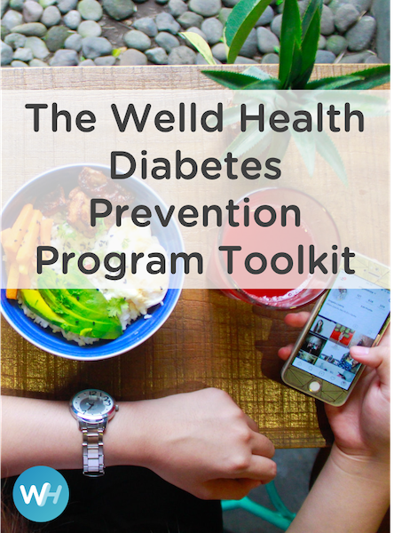 The Welld Health Diabetes Prevention Toolkit Diagram